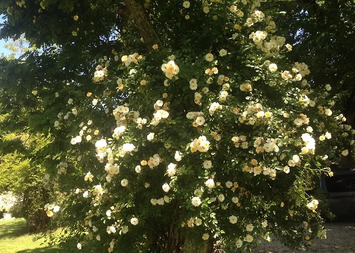 Les 2 Brigards Couette-café